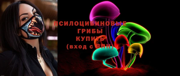 стафф Алзамай