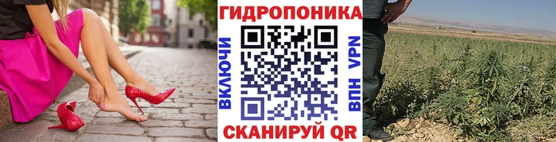сколько стоит  площадка наркотические препараты  Каннабис планчик  Новая Ладога 